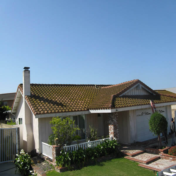Roof Cleaning Before